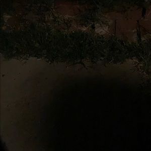 Meet your Posher, Hailey